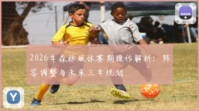 2026年森林狼休赛期操作解析：阵容调整与未来三年规划