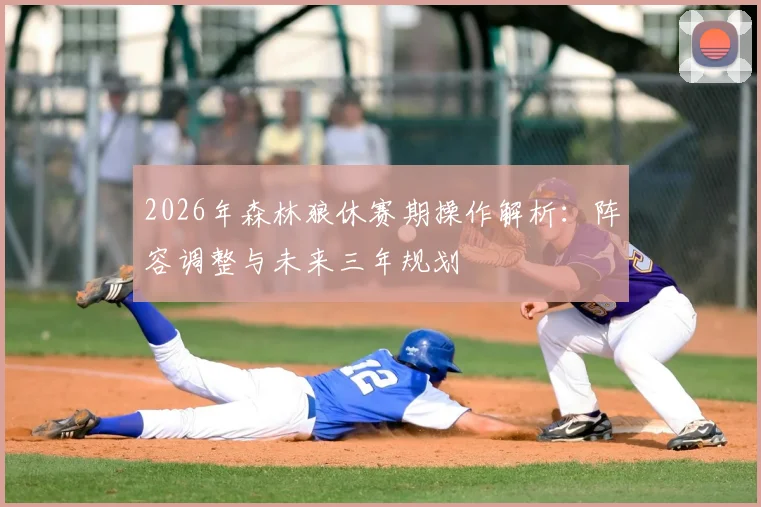 2026年森林狼休赛期操作解析:阵容调整与未来三年规划